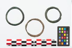 Foto von Bronzering (NHMW-PRAE-025576)